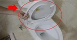 Lời khuyên cho gia đình không đậy nắp bồn cầu trước khi xả nước