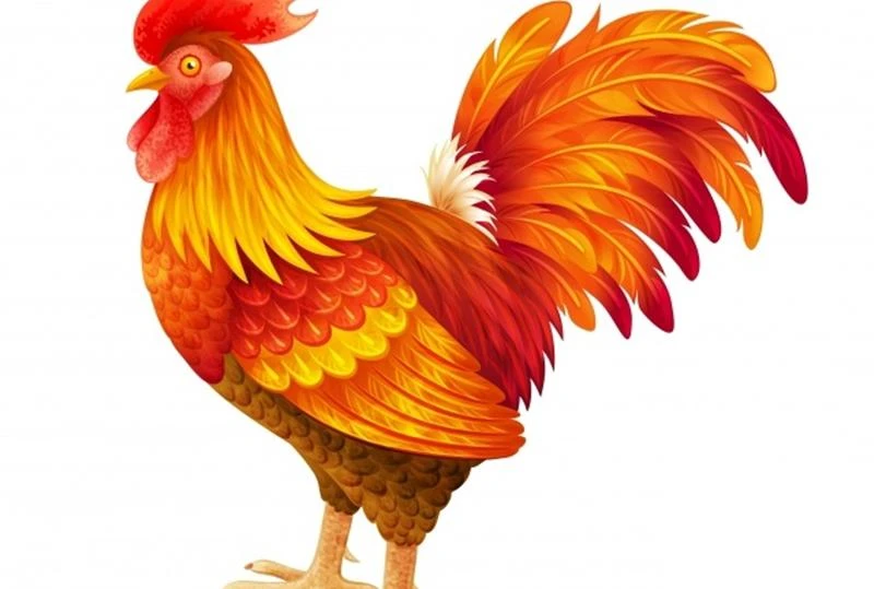 Lời khuyên tài chính trong 30 ngày tới cho 4 con giáp cần biết Lời khuyên tài chính trong 30 ngày tới cho 4 con giáp cần biết