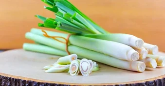 Lời khuyên trồng sả hiệu quả cho gia đình