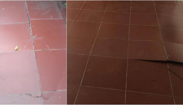 Lời khuyên xử lý sân gạch đỏ phồng rộp nứt vỡ cho gia đình Lời khuyên xử lý sân gạch đỏ phồng rộp nứt vỡ cho gia đình