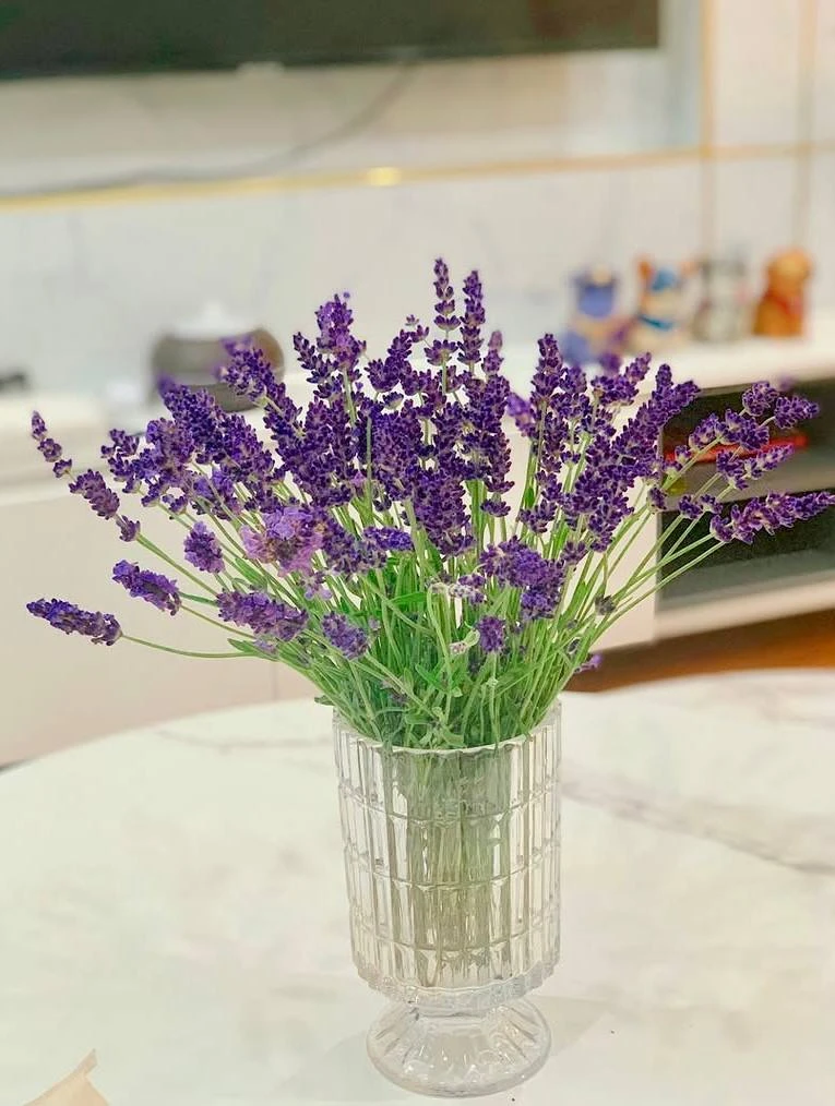 Lương tháng 40-50 triệu, chi 6-7 triệu mua hoa với gội đầu dưỡng sinh: “31 tuổi rồi, không tiêu tiền không thư giãn được” Lương tháng 40-50 triệu, chi 6-7 triệu mua hoa với gội đầu dưỡng sinh: “31 tuổi rồi, không tiêu tiền không thư giãn được”