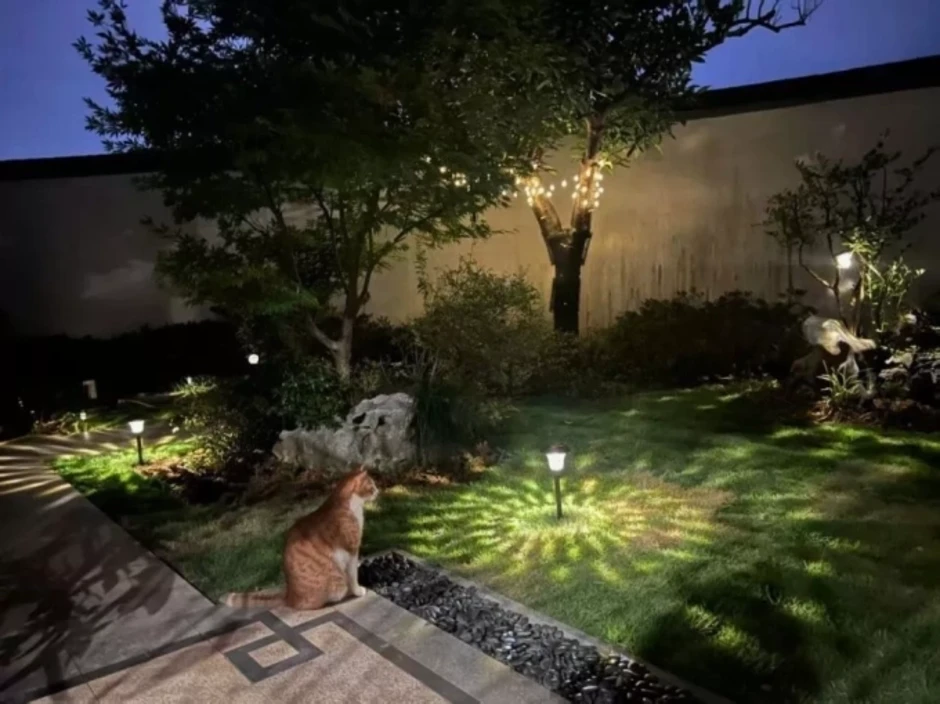 Lý do giới trung lưu Trung Quốc đi thuê thay vì mua nhà
