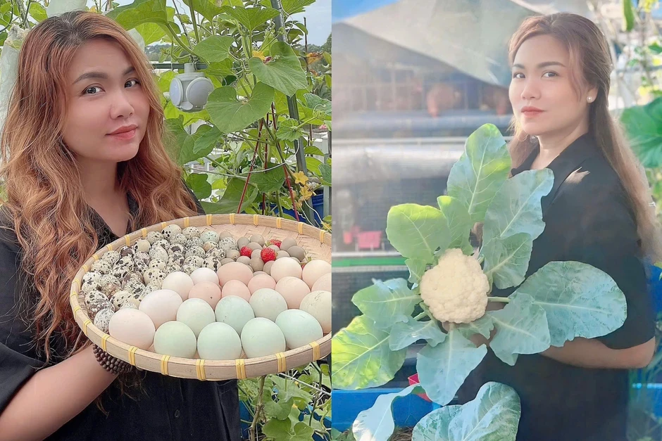 Mẹ đảm Đồng Nai làm "nông trại" trên mái nhà, nuôi gần 100 con gà đẻ trứng Mẹ đảm Đồng Nai làm "nông trại" trên mái nhà, nuôi gần 100 con gà đẻ trứng