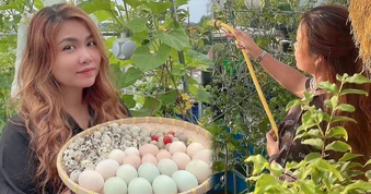 Mẹ đảm Đồng Nai làm "nông trại" trên mái nhà, nuôi gần 100 con gà đẻ trứng