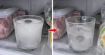 Mẹo kiểm tra tủ lạnh trước khi đi xa giúp bảo quản thực phẩm an toàn