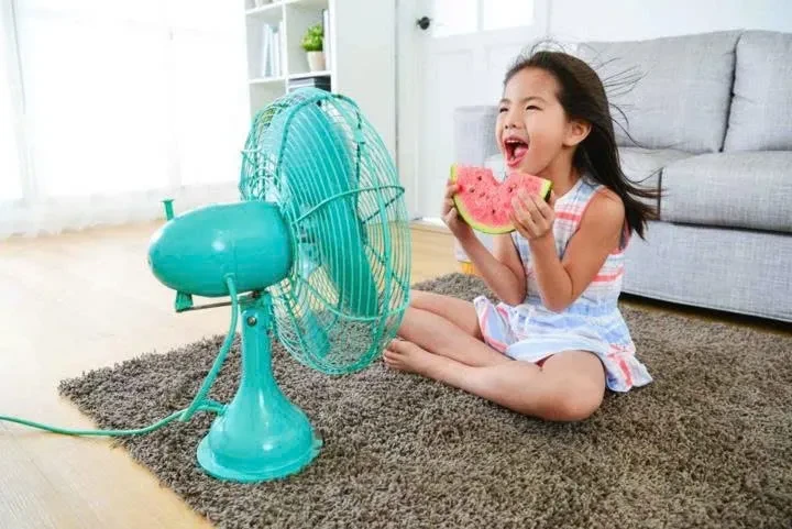 Mẹo làm mát nhà thông minh chỉ bằng quạt điện trong ngày "nắng nóng điên đảo" Mẹo làm mát nhà thông minh chỉ bằng quạt điện trong ngày "nắng nóng điên đảo"