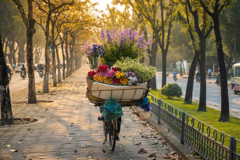 Miền Bắc nắng ráo chấm dứt nồm ẩm Miền Bắc nắng ráo chấm dứt nồm ẩm