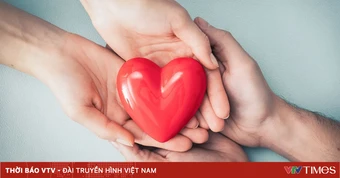 Món quà quý giá đằng sau những ca ghép tạng