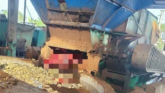 Một công nhân bị cuốn vào máy xay mủ cao su, tử vong