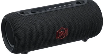 Một triệu đồng có thể mua loa karaoke nào?