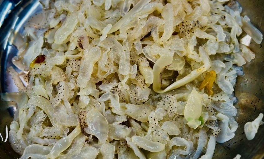 Mùa sứa đỏ trên phố....