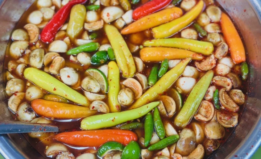 Mùa sứa đỏ trên phố....