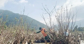 Nam thanh niên rơi xuống sông mất tích khi qua cầu phao ở Sơn La