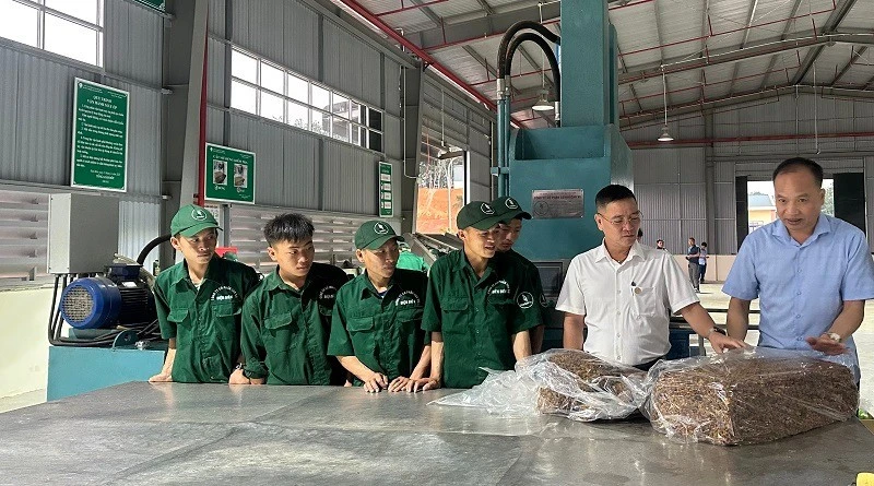 Nâng cao năng lực sản xuất gắn với tuân thủ nghiêm quy định bảo vệ môi trường trong ngành cao-su Nâng cao năng lực sản xuất gắn với tuân thủ nghiêm quy định bảo vệ môi trường trong ngành cao-su