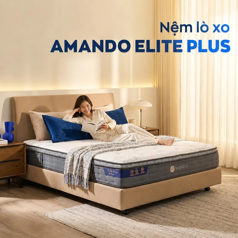 Nệm Amando đồng hành chăm sóc giấc ngủ Nệm Amando đồng hành chăm sóc giấc ngủ