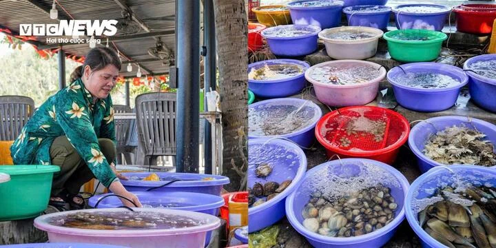 Nét bình yên của làng chài Bãi Xếp bên bờ biển Quy Nhơn Nét bình yên của làng chài Bãi Xếp bên bờ biển Quy Nhơn