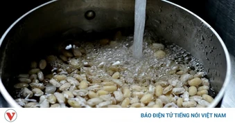 Ngâm ngũ cốc trước khi nấu: Bí quyết đơn giản giúp tăng gấp đôi giá trị dinh dưỡng