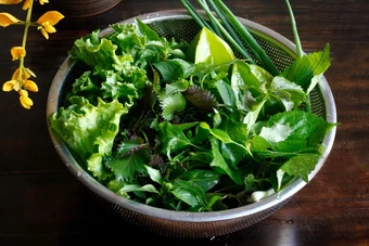 Ngâm rau trong nước muối sạch hơn không? - Báo TinVina Cooking