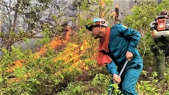 Nghệ An cảnh báo nguy cơ cháy rừng ở cấp cực kỳ nguy hiểm