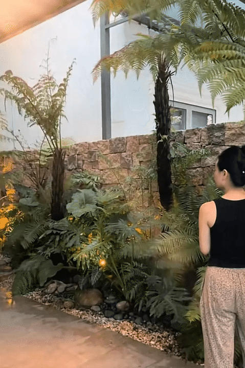 Ngôi nhà 450m2 của vợ chồng Hà Tĩnh như resort thu nhỏ: Khu vườn nhiệt đới bao quanh, cả căn nhà phủ 70% kính, góc nào cũng có view “triệu đô” Ngôi nhà 450m2 của vợ chồng Hà Tĩnh như resort thu nhỏ: Khu vườn nhiệt đới bao quanh, cả căn nhà phủ 70% kính, góc nào cũng có view “triệu đô”