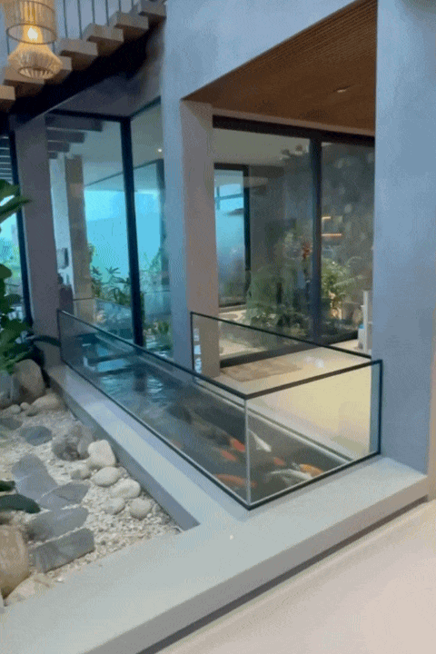 Ngôi nhà 450m2 của vợ chồng Hà Tĩnh như resort thu nhỏ: Khu vườn nhiệt đới bao quanh, cả căn nhà phủ 70% kính, góc nào cũng có view “triệu đô” Ngôi nhà 450m2 của vợ chồng Hà Tĩnh như resort thu nhỏ: Khu vườn nhiệt đới bao quanh, cả căn nhà phủ 70% kính, góc nào cũng có view “triệu đô”
