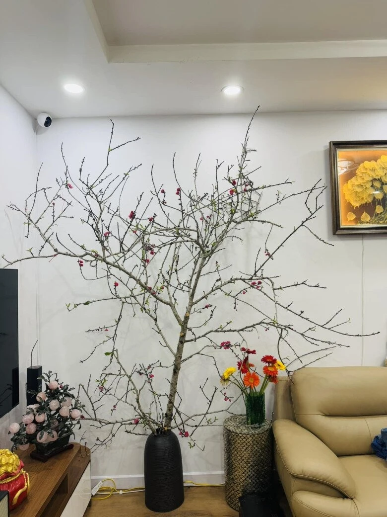 Ngôi nhà của NSND Công Lý Ngôi nhà của NSND Công Lý