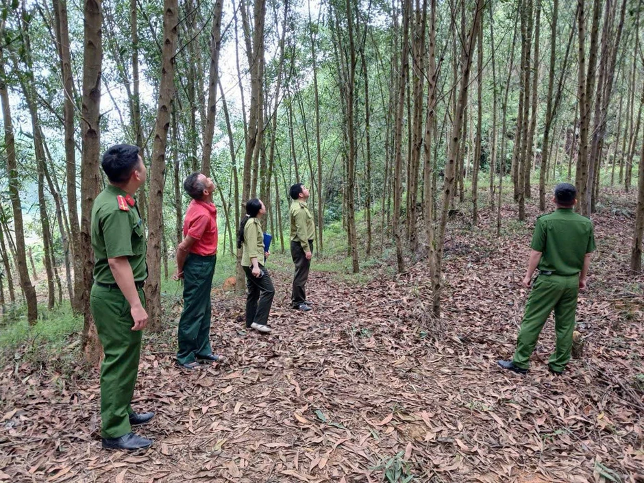 Người dân giao nộp, trình báo nhiều động vật hoang dã quý hiếm Người dân giao nộp, trình báo nhiều động vật hoang dã quý hiếm