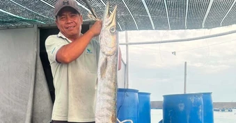 Người đàn ông ở TPHCM câu được cá dài 1,6m, hàm răng nhọn