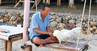 Người đàn ông Quảng Ninh bán ô tô ra đảo hoang ở, sống tự cung tự cấp