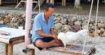Người đàn ông Quảng Ninh bán ô tô ra đảo ở, sống tự cung tự cấp