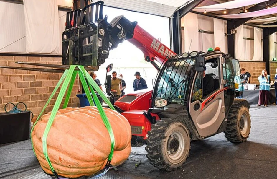 Người đàn ông U70 mê trồng rau củ khổng lồ, có quả bí ngô nặng hơn 450kg Người đàn ông U70 mê trồng rau củ khổng lồ, có quả bí ngô nặng hơn 450kg