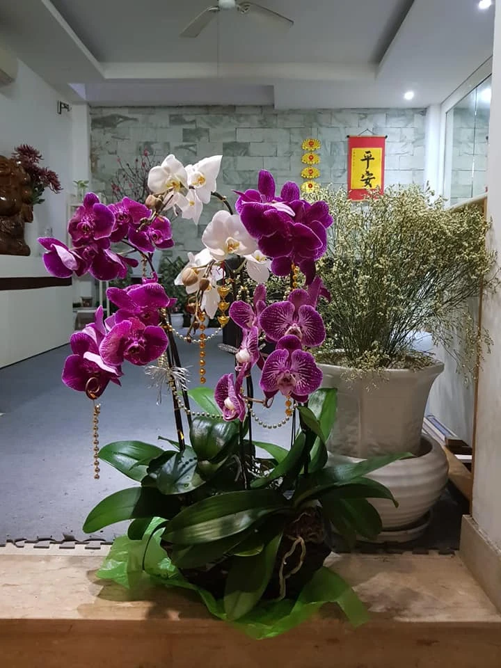 Người đầu tiên dẫn Ai Là Triệu Phú: Tốt nghiệp Ngôn ngữ Hindi, sống trong căn nhà 40m2 ở Hà Nội Người đầu tiên dẫn Ai Là Triệu Phú: Tốt nghiệp Ngôn ngữ Hindi, sống trong căn nhà 40m2 ở Hà Nội