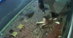 Người phụ nữ bị chồng đánh đập ngoài đường lúc 1 giờ sáng: Hé lộ nguồn cơn