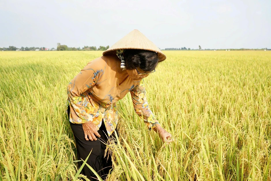Người phụ nữ đánh thức vùng đất phèn bằng 'con trâu sắt'