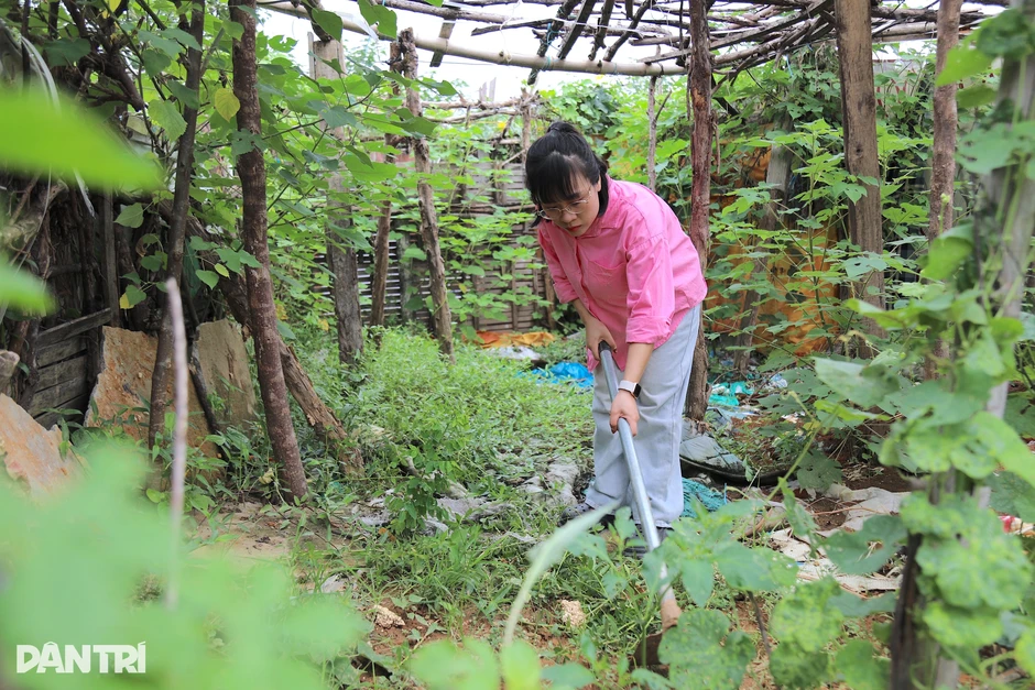 Người phụ nữ Hà Nội biến đất hoang thành vườn rau xanh tốt Người phụ nữ Hà Nội biến đất hoang thành vườn rau xanh tốt