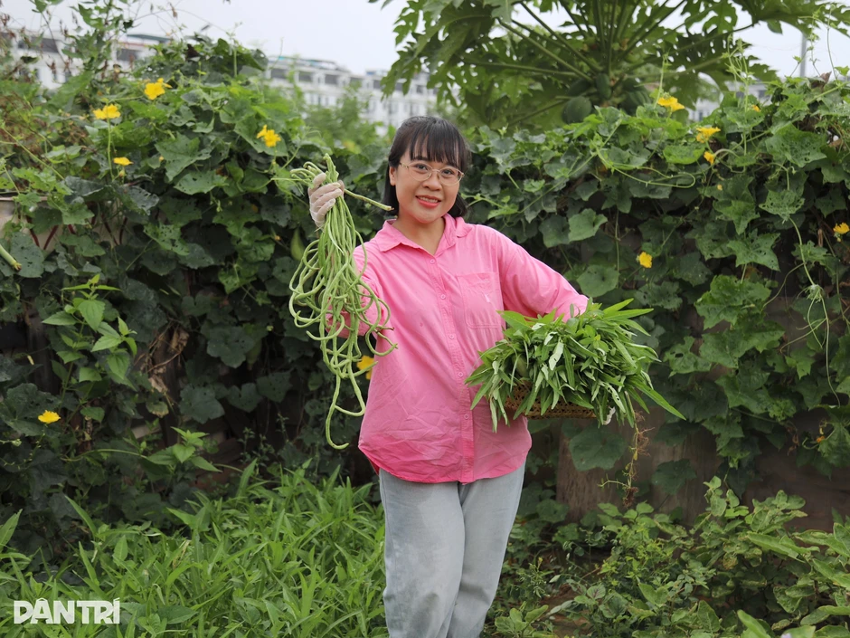 Người phụ nữ Hà Nội biến đất hoang thành vườn rau xanh tốt Người phụ nữ Hà Nội biến đất hoang thành vườn rau xanh tốt
