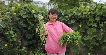 Người phụ nữ Hà Nội biến đất hoang thành vườn rau xanh tốt