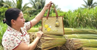 Người phụ nữ miền Tây biến sợi cỏ vùng đất phèn thành túi xách... hàng hiệu