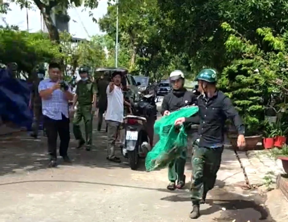Nhận hơn 55 đơn phản ánh 'nỗi khiếp sợ', lực lượng chức năng vây bắt chó thả rông Nhận hơn 55 đơn phản ánh 'nỗi khiếp sợ', lực lượng chức năng vây bắt chó thả rông