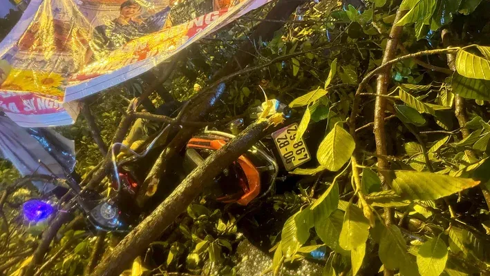 Nhánh cây rơi trúng xe máy trên đường An Dương Vương, người chồng tử vong Nhánh cây rơi trúng xe máy trên đường An Dương Vương, người chồng tử vong