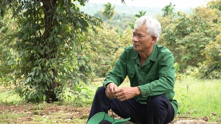 Như chưa hề có cuộc chia ly: Chỉ nhớ sai tên cây cầu mà phải mang tiếng 'mất gốc' mấy chục năm