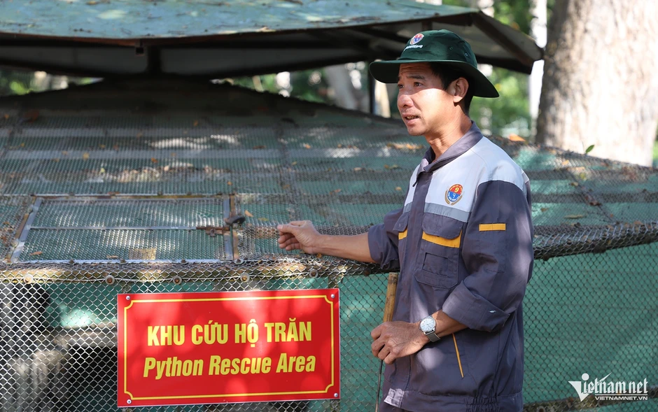 Những con trăn bạch tạng quý hiếm, đẹp lạ trong trại rắn lớn nhất miền Tây Những con trăn bạch tạng quý hiếm, đẹp lạ trong trại rắn lớn nhất miền Tây