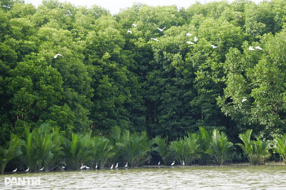 Những điều đặc biệt ở đầm nước mặn lớn thứ 2 cả nước Những điều đặc biệt ở đầm nước mặn lớn thứ 2 cả nước