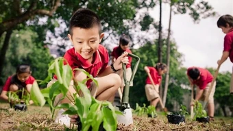 Những hành động nhỏ tạo nên sự thay đổi lớn