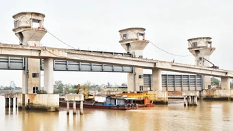 Những lá chắn phòng, chống thiên tai