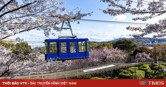 Niềm vui của việc di chuyển trải rộng trên chuyến du lịch tại tỉnh Ehime