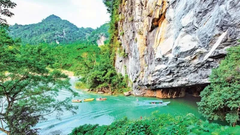 Nỗ lực giữ xanh rừng di sản Nỗ lực giữ xanh rừng di sản