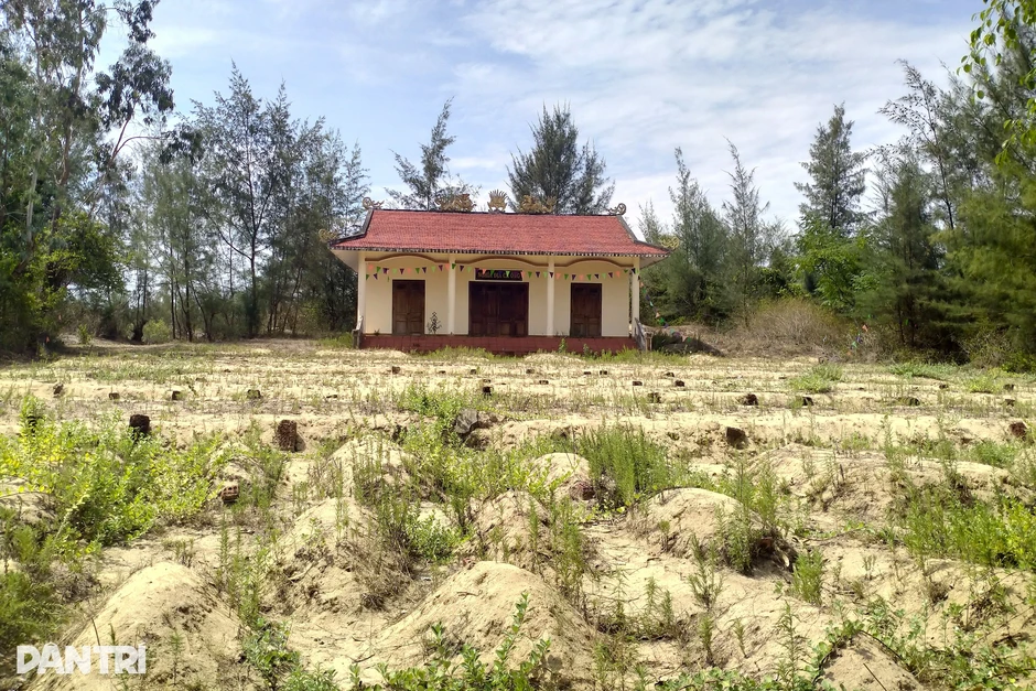 Nơi an táng hơn 500 cá Ông, chốn linh thiêng của ngư dân bám biển Nơi an táng hơn 500 cá Ông, chốn linh thiêng của ngư dân bám biển