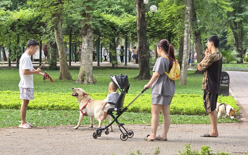 Nóng: Lật thuyền du lịch ở Cát Bà, xác định danh tính 1 phụ nữ tử vong Nóng: Lật thuyền du lịch ở Cát Bà, xác định danh tính 1 phụ nữ tử vong