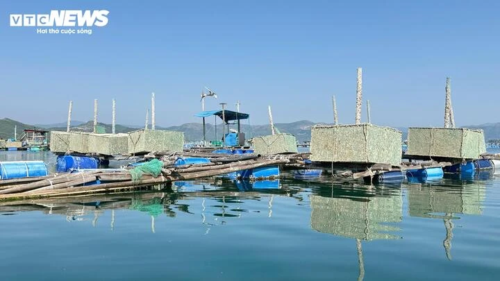 Nuôi thuỷ sản tự phát, ‘thủ phủ tôm hùm’ Đắk Lắk nhận rủi ro gấp đôi sau bão Nuôi thuỷ sản tự phát, ‘thủ phủ tôm hùm’ Đắk Lắk nhận rủi ro gấp đôi sau bão